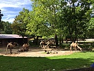 Impressionen vom Tiergarten Besuch