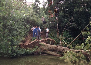 Bergung eines Baums aus einem Weiher 1998