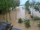 Ein Überfluteter Garten