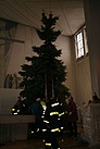 Der stehende Baum in der Kirche St. Elisabeth