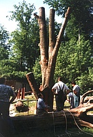 THL Bärengehege Tiergarten Straubing 1997