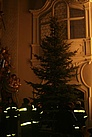 Der stehende Baum in der Ursulinen Kirche