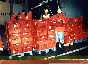 Einsatz Schweinebergung 1997
