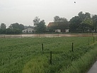 Eine Überflutete Weide