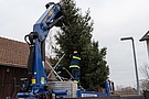 Aufstellen von Weihnachtsbäumen in Straubinger Kirchen
